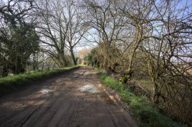 Su birikintileri olan kirli bir yol, ve üzerinde kavis çizen ağaçlar, bir nehrin yanında, güneşli bir günde, İtalya 'nın kırsalında