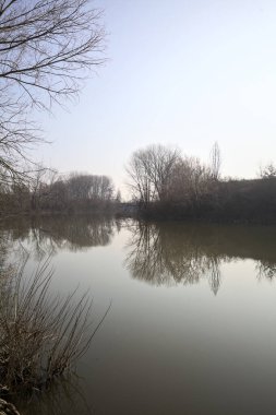 Ağaçlarla ve toprak setlerle çevrili nehir, ağaçların kendileri suya yansıyor, güneş tarafından aydınlatılıyor ve çıplak bir ağaçla çerçeveleniyor.