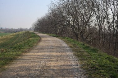 Bir tarafta çıplak ağaçlarla çevrili çamurlu bir set ve İtalya kırsalında güneşli bir günde yamaçlarda uzanan eğimli bir arazi.