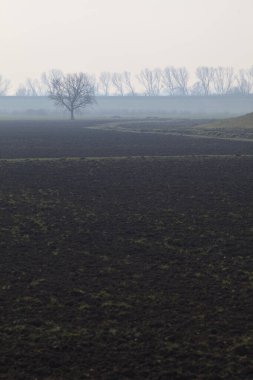Pürüzlü tarlalar, ufukta ağaçlar, güneşli bir günde setle çevrili, su dolu bir siper ve ahşap sütunlar üzerinde elektrik kabloları ile çevrili.