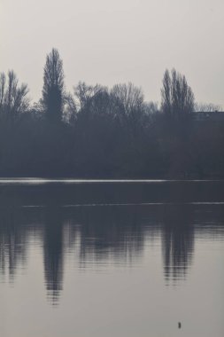 Forest by the lakeshore in winter, with bare trees reflected in the water, seen from afar, counterlit by the sun