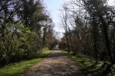 İtalya 'nın kırsal kesimlerinde güneşli bir günde, ağaçların arasındaki bir parktaki çakıllı patika sonunda bir kapıya çıkıyor.