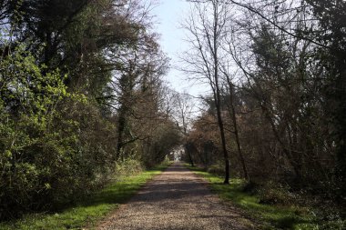 İtalya 'nın kırsal kesimlerinde güneşli bir günde, ağaçların arasındaki bir parktaki çakıllı patika sonunda bir kapıya çıkıyor.