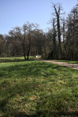 Bir çim arasında yol, içinden bir siper geçen, ve bir ağaç parçası, İtalyan kırsalında küçük bir köprüye giden, güneşli bir günde görülen