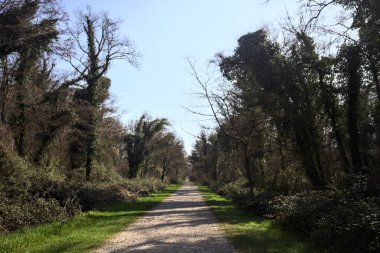 İtalya 'nın kırsal kesimlerinde güneşli bir günde, ağaçların arasındaki bir parktaki çakıllı patika sonunda bir kapıya çıkıyor.