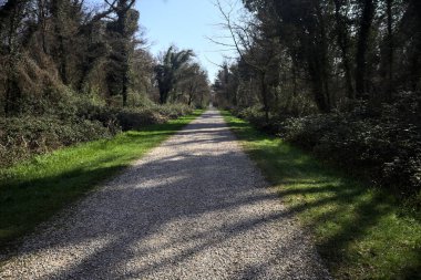 İtalya 'nın kırsal kesimlerinde güneşli bir günde, ağaçların arasındaki bir parktaki çakıllı patika sonunda bir kapıya çıkıyor.