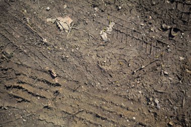 Tire tracks on a muddy trail seen from above and up close