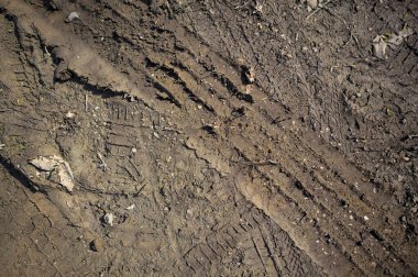 Tire tracks on a muddy trail seen from above and up close