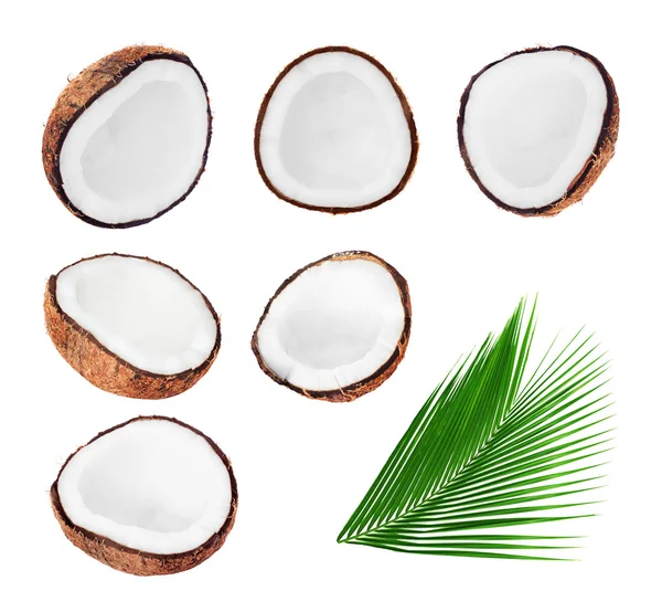 Coleção de cocos frescos em branco — Fotografia de Stock