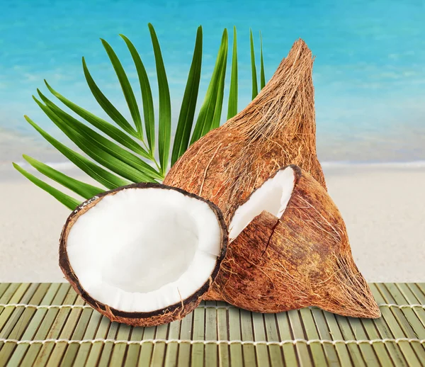 Hindistan cevizi yaprağı plaj zemin üzerine