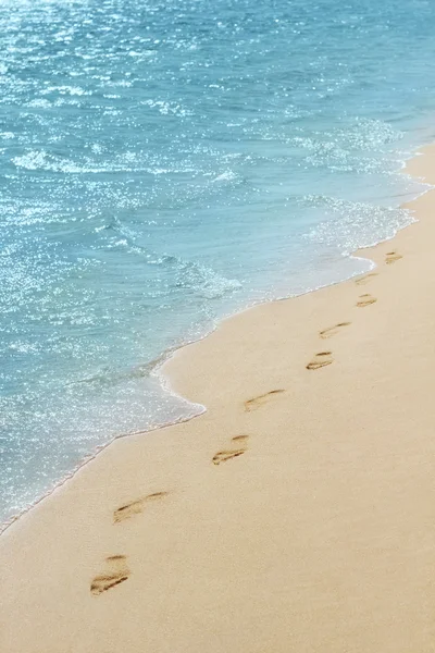 Seçici odak ile kumlu bir plaj üzerinde ayak yazdırır 