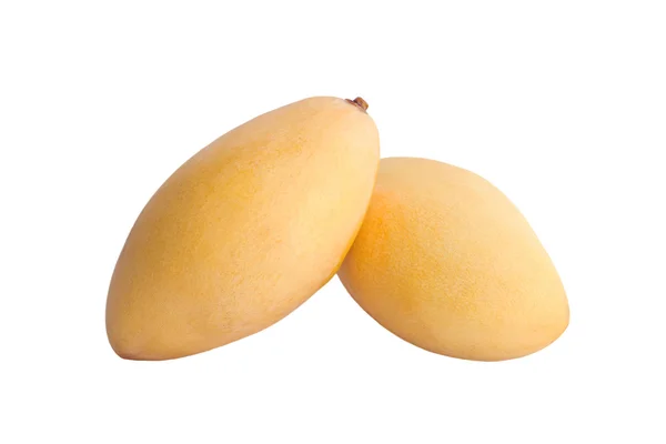 İki sarı olgun Mango