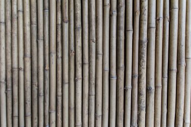 Bambu duvar kağıdı