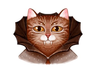 Vampir kedi portresi. Siyah pelerinli ve vampir dişli Drakula.