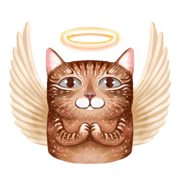 Ilustrasi Potret Seekor Kucing Malaikat Dengan Sayap Dan Halo Kepala — Stok Foto