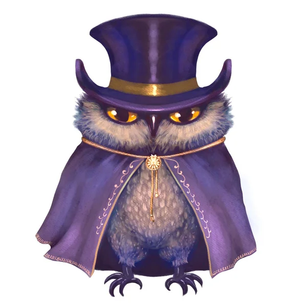 Illustration Hand Drawn Owl Wearing Top Hat Raincoat Golden Ribbon — Stock Photo, Image