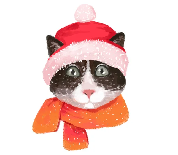 Illusztráció Portré Egy Téli Macska Öltözött Melegen Visel Egy Kalap — Stock Fotó