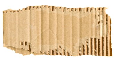 Beyaz arkaplandaki yırtık kartondan düz kenarlı pankart