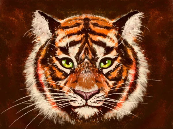 Porträt Eines Orangefarbenen Braunen Flauschigen Tigers Porträt Eines Tieres Auf — Stockfoto