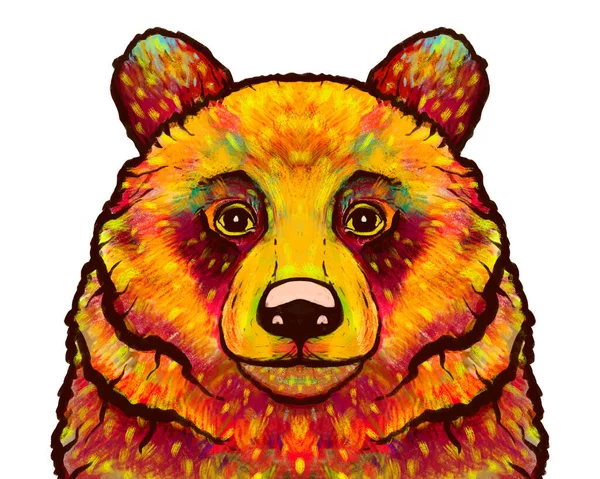 Bright Stylish Trendy Multicolor Bear Portrait Hand Drawn Brush Strokes — Stock Photo, Image