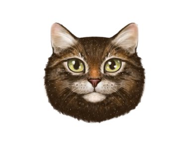 Şirin bir kedinin resimli portresi, kahverengi tekir. Düz ve detaylı çizim yapan bir kedi. Hayvan kafası..