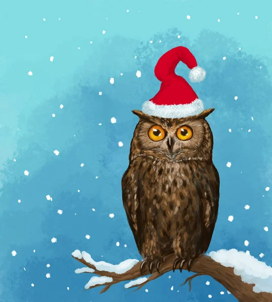 Cute Bright Christmas Card Banner Beautiful Owl Christmas Hat Sits — Foto Stock