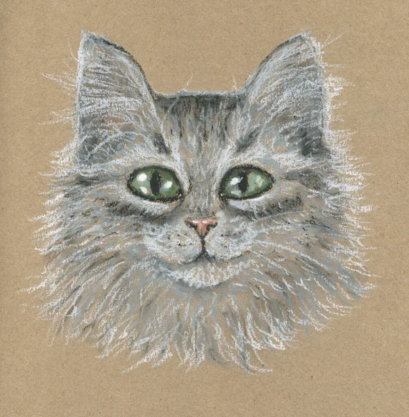 A beautiful hand-drawn portrait of a cute light fluffy cat that looks straight. Drawn with pastels on craft paper