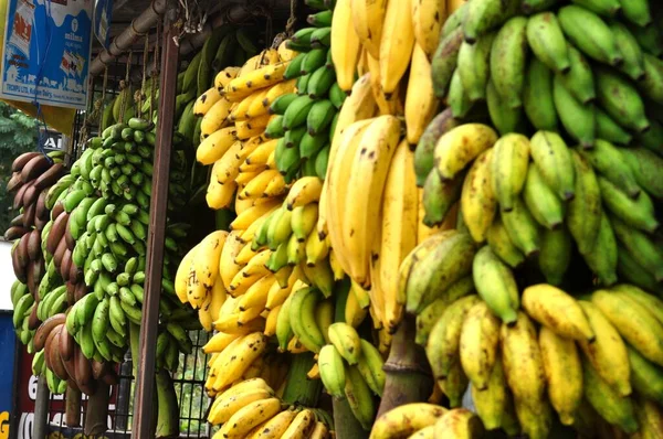 인도의 케랄라주의 지역에는 종류의 바나나들이 시되어 있습니다 케랄라에서 바나나는 프라이 — 스톡 사진