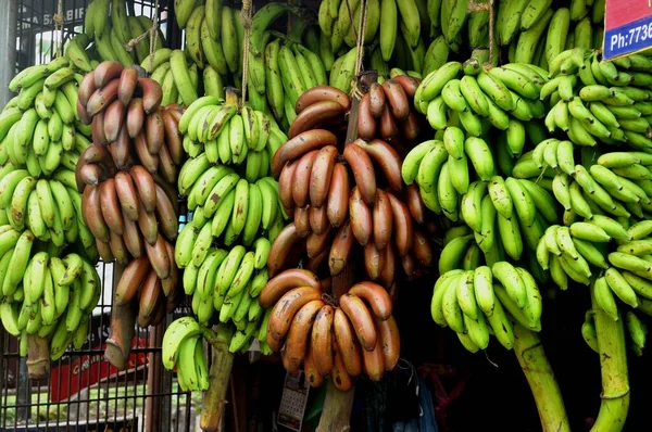 インドのケーララ州の農村部では さまざまな種類のバナナが展示されています ケーララ州では バナナは果物 チップ フリッター または調理された野菜として食べられます バナナは南インドで非常に人気があります — ストック写真