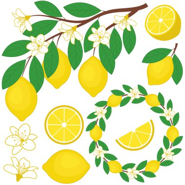 Vektör limon ayarla