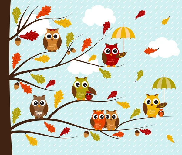 Fall Owls Set — Stock Vector