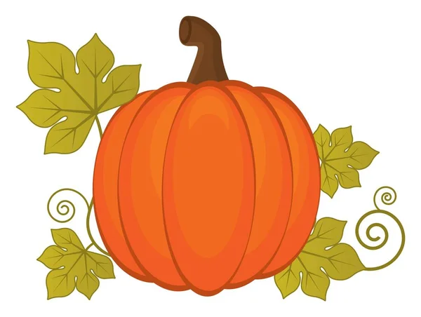 Zucca con foglie. Zucca di Halloween — Vettoriale Stock