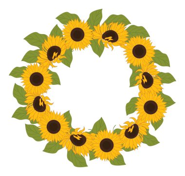  Beyaz Arkaplanda Ayçiçeği Çelengi