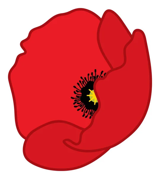 Red Poppy. Vetor Poppy — Vetor de Stock