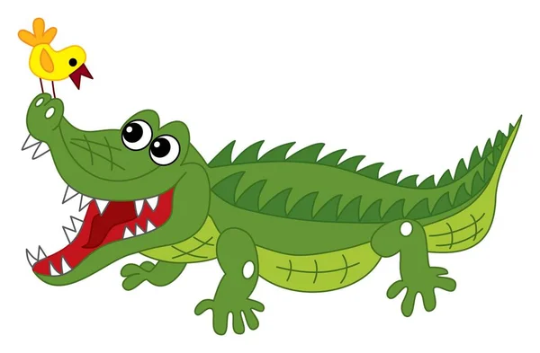 Vector söt tecknad krokodil med fågeln — Stock vektor