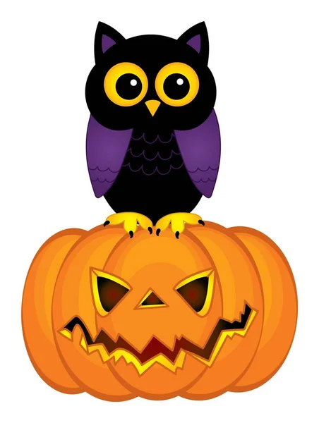 Lindo búho morado y negro sentado en la calabaza. Calabaza de Halloween con búho — Archivo Imágenes Vectoriales