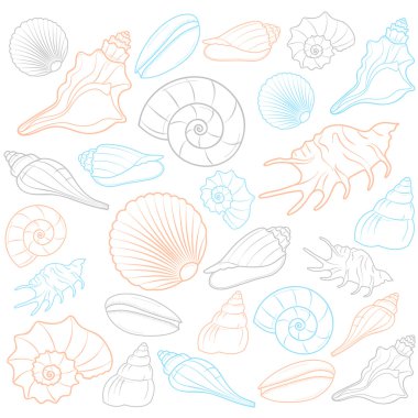 renkli deniz kabuklarını