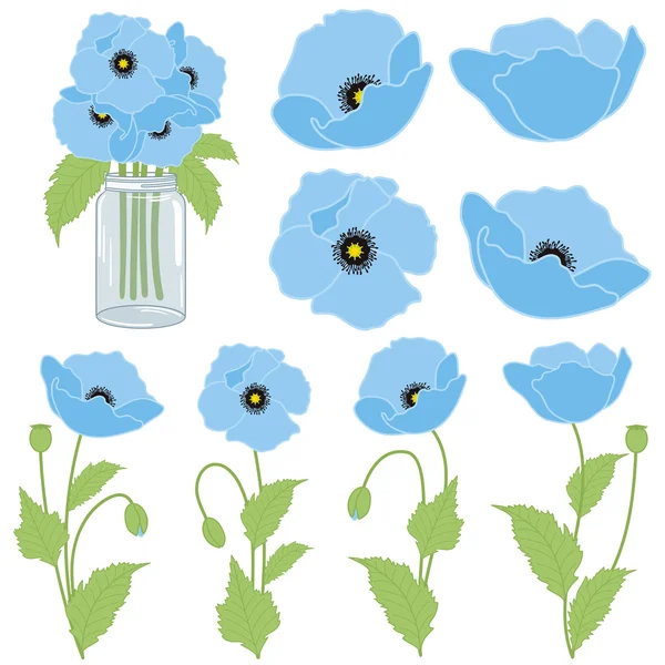 Bunga poppy biru - Stok Vektor
