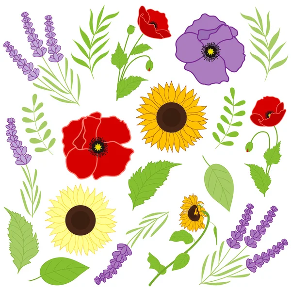 Provence bloemen — Stockvector