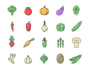 Taze sebze simge renk seti