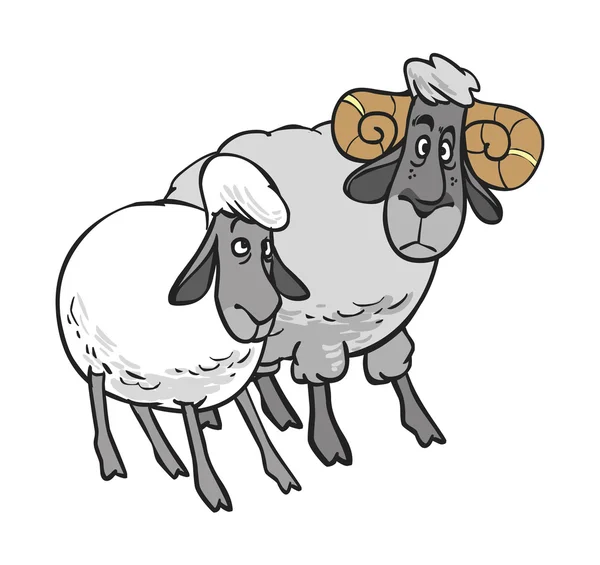 Drôle de vecteur dessin animé moutons et bélier — Image vectorielle