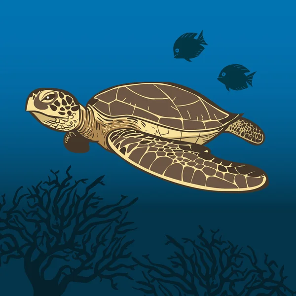 Funny cartoon sea turtle. Vector illustration — Stock Vector