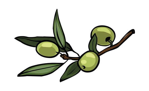 Olives vectrices — Image vectorielle