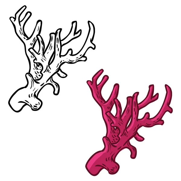 Conjunto de iconos vectoriales con coral — Vector de stock