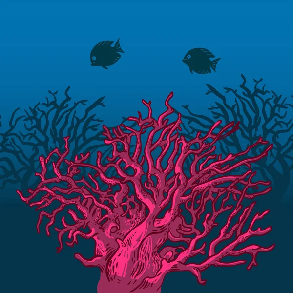 Coral. Ilustração vetorial — Vetor de Stock