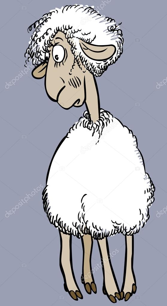 Funny vector cartoon sheep 