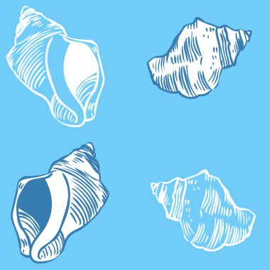 kabuk collection - vektör siluet çizimi