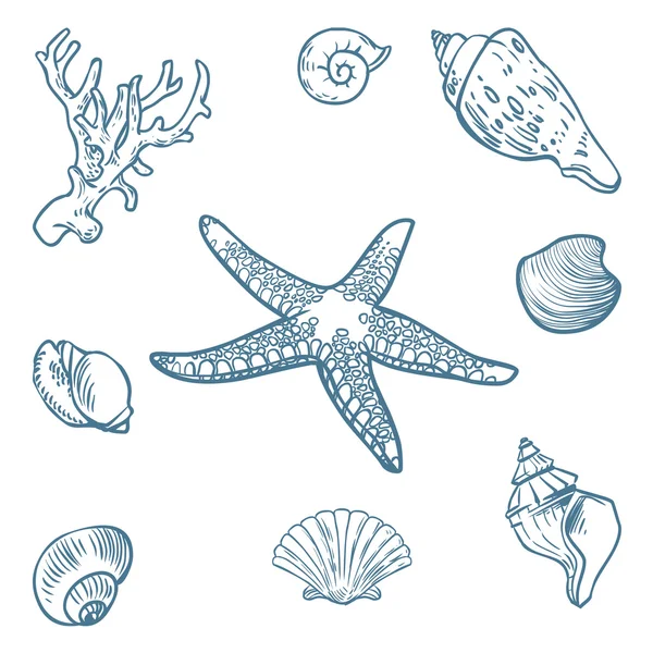 Conjunto vectorial de fauna marina — Archivo Imágenes Vectoriales