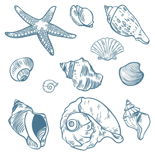 Vector set of sea fauna — Stock Vector