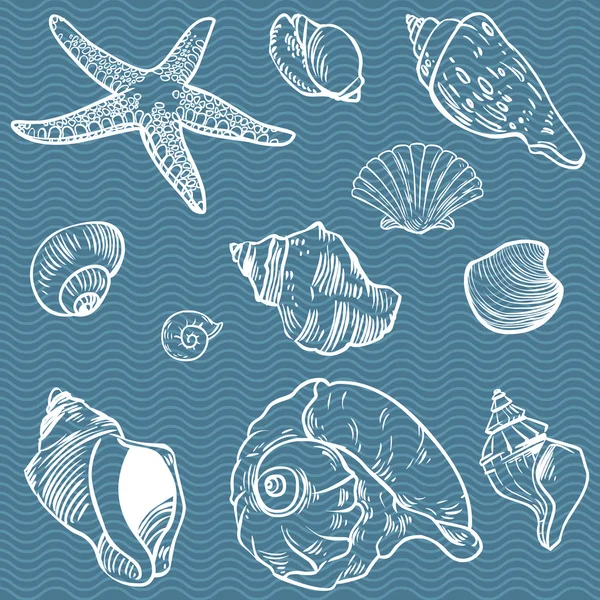 Conjunto vectorial de fauna marina — Archivo Imágenes Vectoriales